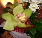 Фотография Солодухиной Татьяны