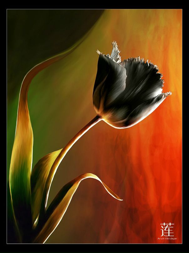 Дмитрий Журавлев фотография #33