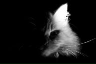 Фотография Дятловой Екатерины