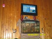 Міша Федоронько фотография #42 (источник - https://vk.com/id72509265)