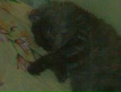 Андрій Ткач фотография #32 (источник - https://vk.com/id133966263)