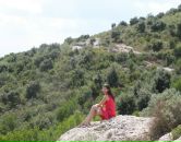 Фотография Писаревой Елены