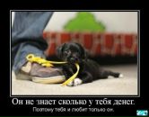 Фотография Гетманова Геннадия