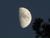 Фотография Макаровой Ольги