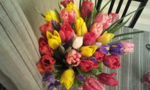 Фотография Кажановой Елизаветы