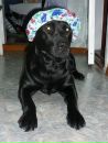 Фотография Митиной Елены