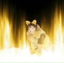 Фотография Григорьевой Анастасии