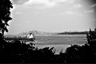 Дмитрий Кулешов фотография #40 (источник - https://vk.com/id1010914)