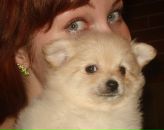 Фотография Устинский Дмитрий