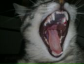 Фотография Зыкова Станислава