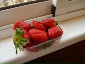 Фотография Гончаровой Оксаны