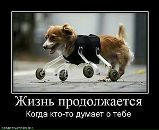 Олексій Дроздов фотография #36 (источник - https://vk.com/id39117121)