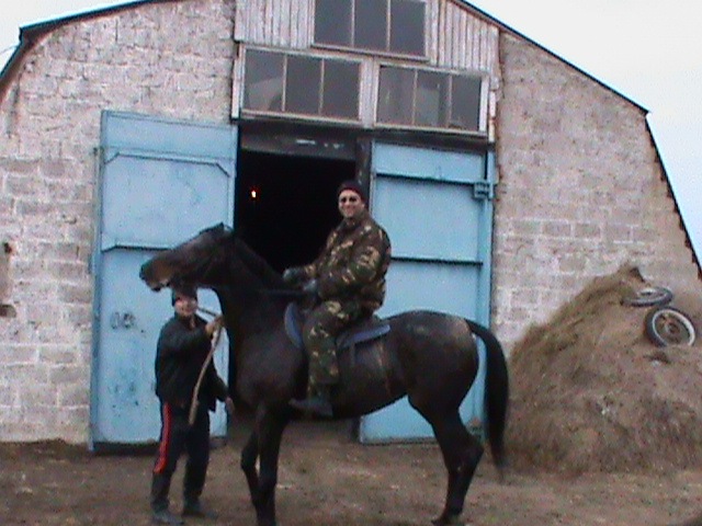 Lion Cat фотография #12