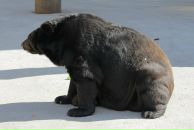 Дарья Попова фотография #48 (источник - https://vk.com/id1113792)