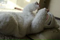 Фотография Ляминой Елены