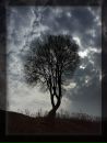 Антоніна Дудинська фотография #47 (источник - https://vk.com/id17106656)