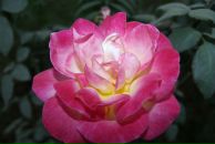 Фотография Арбыновой Галины