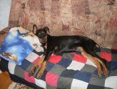 Фотография Макушева Андрея