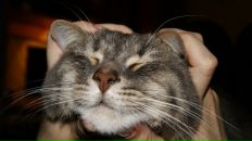 Фотография Крутских Сергей