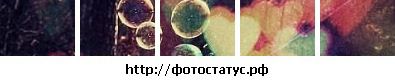 Аліна Чук фотография #18 (источник - https://vk.com/id132706248)