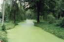 Олічка Терещенко фотография #42 (источник - https://vk.com/id78531173)