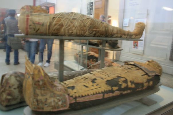 Дмитрий Гудков фото №20