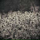 Фотография Речиной Тани