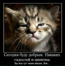 Фотография Острижко Юлианы