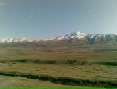 Александр Давиденко фотография #34 (источник - https://vk.com/id40046523)