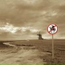 Вадим Арістов фотография #15 (источник - https://vk.com/id6874585)