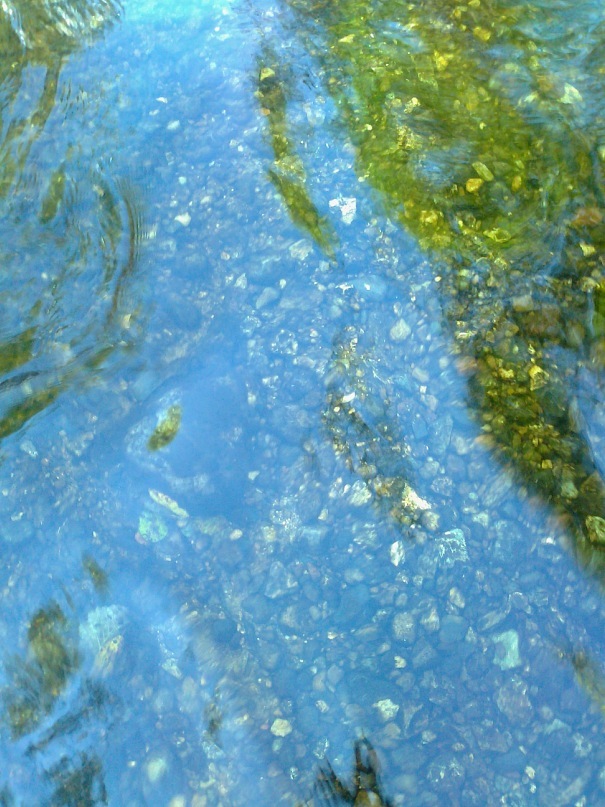 Young Lady фотография #37