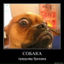 Фотография Худяковой Олеси