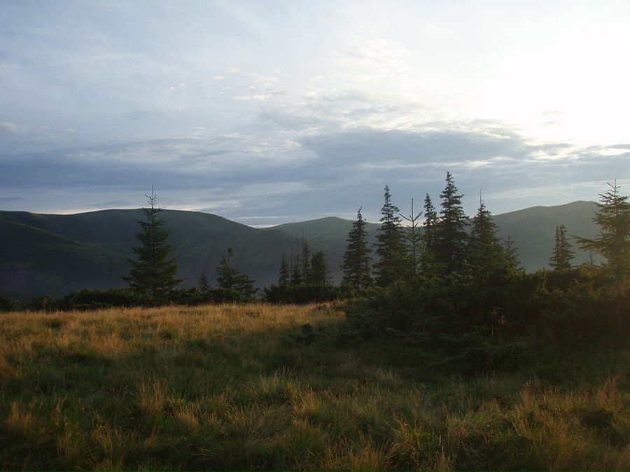 Маша Анищенко фотография #31