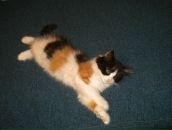 Фотография Дородовой Ксении