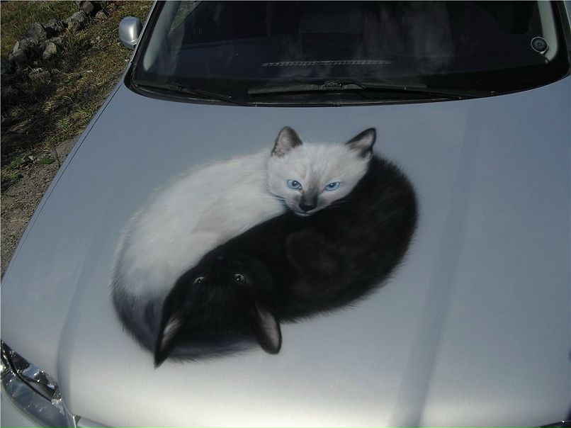 Виктор Шамаев фотография #16