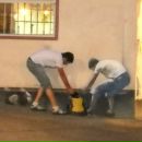 Антон Готлиб фотография #31 (источник - https://vk.com/id2249323)