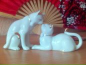 Фотография Ибрагимова Ильгиза