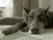 Фотография Мулюкиной Киры