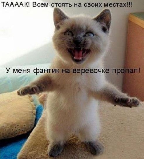 №15, Александр Голумеев, Мичуринск, Россия №15, Александр Голумеев, Мичуринск, Россия