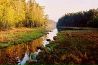 Фотография Голосной Светланы