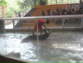 Клевый Парень фотография #19 (источник - https://vk.com/id391001)