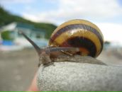 Фотография Фомина Ивана