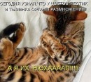 Софія Борщук фотография #24 (источник - https://vk.com/id62911831)
