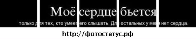 Станислав Натенко фотография #49 (источник - https://vk.com/id17825331)