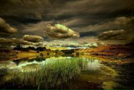 Дикунська Іра фотография #1