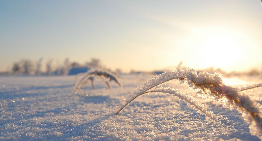 Михаил Яковлев фото №30