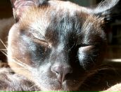 Фотография Алиферовца Игорька