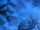 Фотография Николаевны Юлии