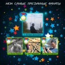 Міша Коркішко фотография #43 (источник - https://vk.com/id112633768)