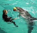 Фотография Biscuit Blond